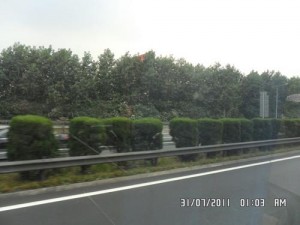 龙8国际娱乐人眼中的中国高速公路:中国高速公路中间的绿化隔离栏 龙8国际娱乐人眼中的中国高速公路:中国高速公路中间的绿化隔离栏