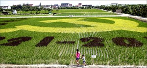 印度视觉:中国农村 印度视觉:中国农村