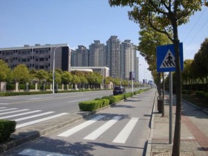 印度人看中国高速公路:人车各行其道 印度人看中国高速公路:人车各行其道