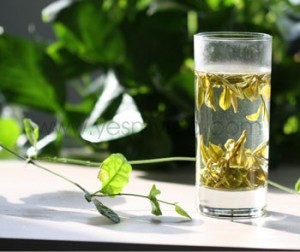 印度人眼中的中国茶:印度人傻眼,中国龙井茶比黄金贵 印度人眼中的中国茶:印度人傻眼,中国龙井茶比黄金贵