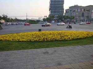 印度人眼中的中国:中国公路干道 印度人眼中的中国:中国公路干道