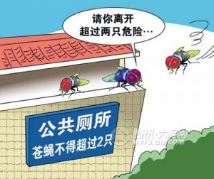 公厕数苍蝇,北京规定公厕苍蝇不超2只,两只苍蝇,苍蝇标准 公厕数苍蝇,北京规定公厕苍蝇不超2只,两只苍蝇,苍蝇标准