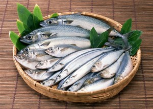 8000斤钓鱼岛鱼鲜抵沪 个大味鲜没有污染