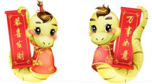 中国人放烟花爆竹庆祝蛇年的到来