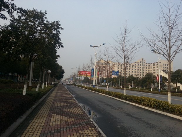 3 高港的自行车车道、人行道和路边的植物