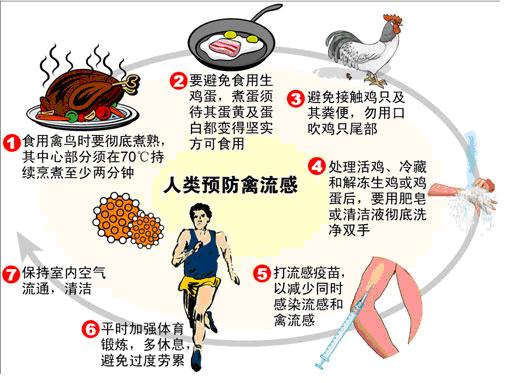 人类如何预防禽流感 人类如何预防禽流感