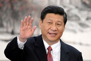 习